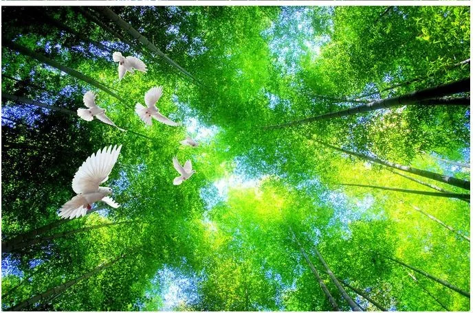 599262f6bb25296537525710-1-original