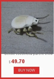 dianxiaobao