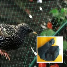1 pz M #5x30 m Bird net china mesh planta pomar in Frutas passaro morcego captured captured nevoa frete nylon net gratis