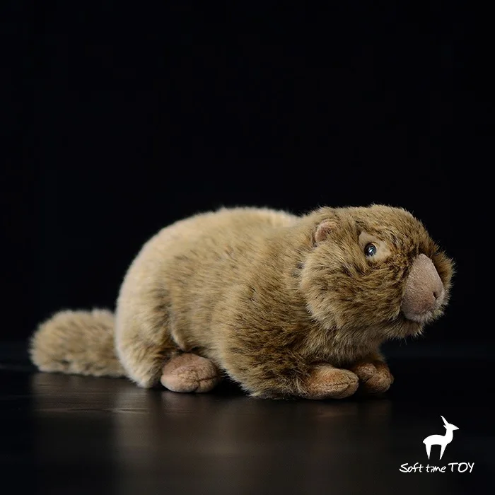 stuffed groundhog toy