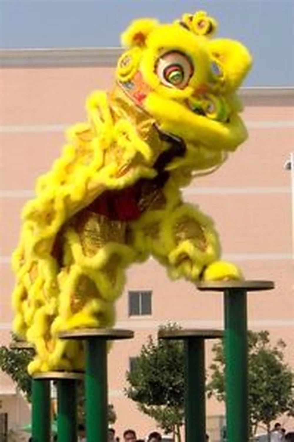 

120'' Chinese Folk art Lion Dance mascot Costume wool Southern Lion just cloak Advertising Carnival Halloween Christmas Easter