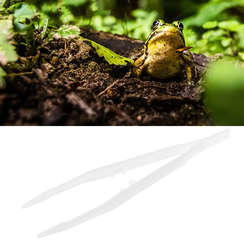 Reptile Tweezers-Feeding Tongs 4