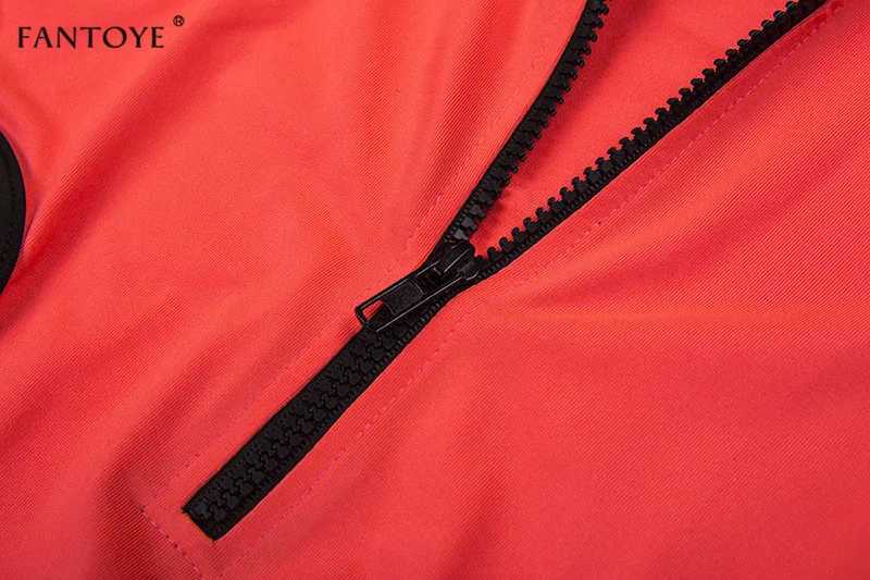 10683915195_1453572700