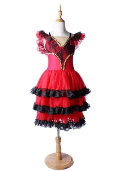

New Autumn Adult Women Lace Retro Dance Classical Ballet Dance Dress Lace Chiffon Dress Dance Costumes Performance