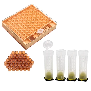 

Beekeeping Tools Equipment Queen Rearing System Sets 120pcs Plastic Bee Cell Cups Cultivating Box Cupkit Queen Cage New