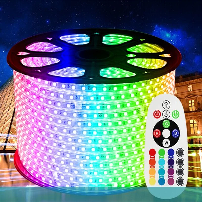 

10m/roll Free shipping 220V input 16 colors RGB low power consumption high brightness 60led/m IP65 water proof 5050 LED strip