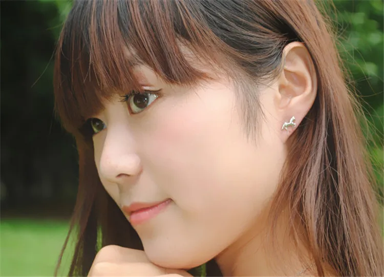 1546667558_823318017