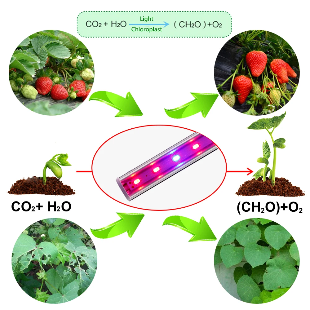  220V 110V LED Grow Light T5 Tube Full Spectrum LED Phyto Lamp Indoor Growth Bar Light for Aquarium  - 32992443228