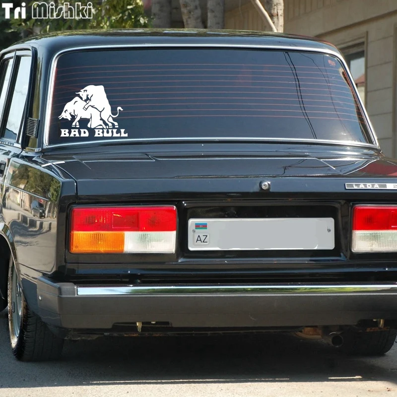 lada 2107 (14)_