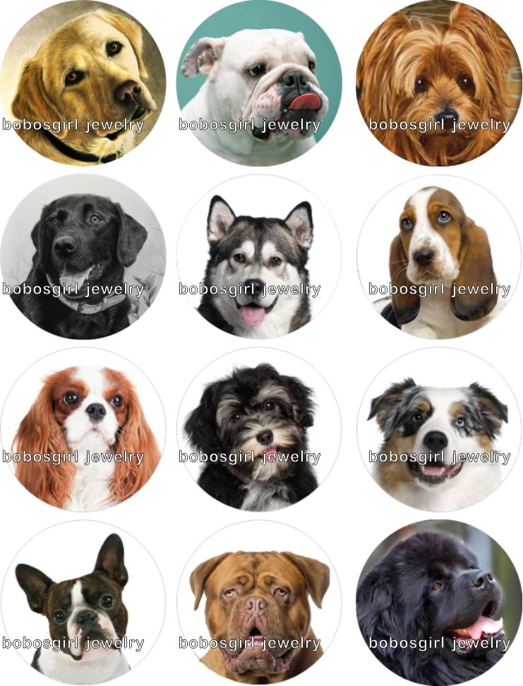 

DOG snap button Jewelry photo Round cabochon flat back Gl306