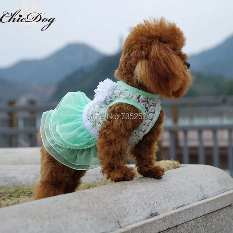 xxs puppy clothes yorkie puppy sweaters xxs puppy clothes yorkie puppy sweaters