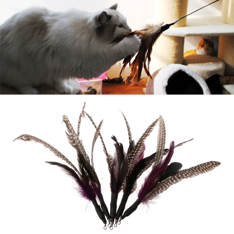 5PCS Handmade Natural Feather Cat Toy Da Bird Refills Interactive Teaser Sticksin Cat Toys from