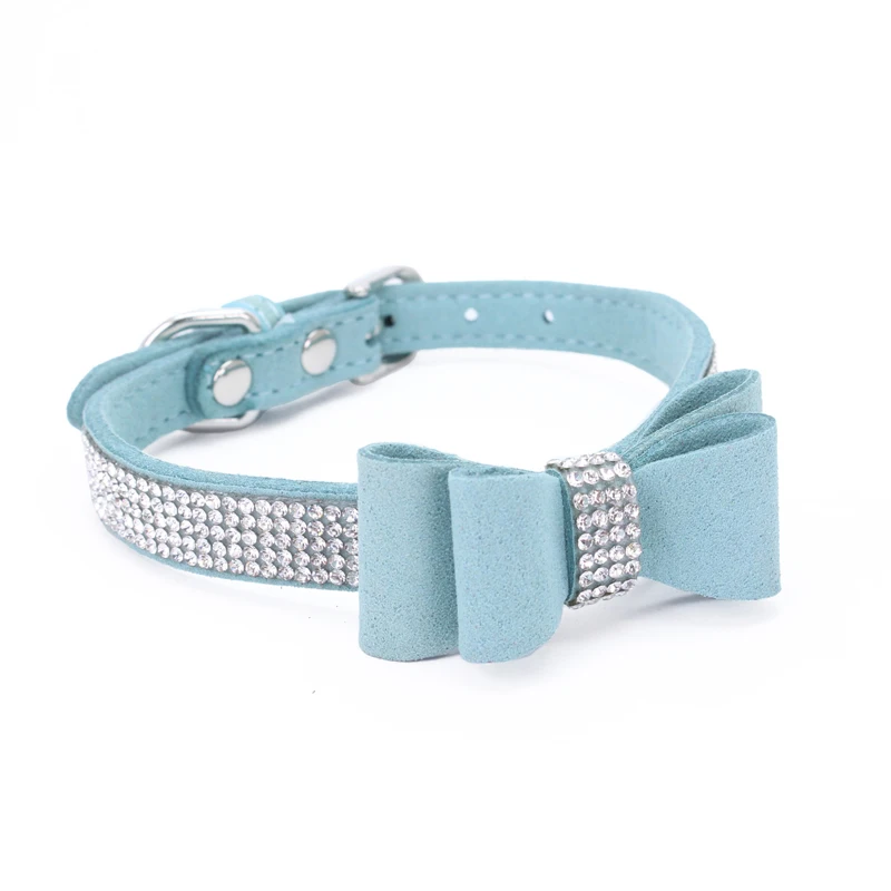 3 dog accessories 