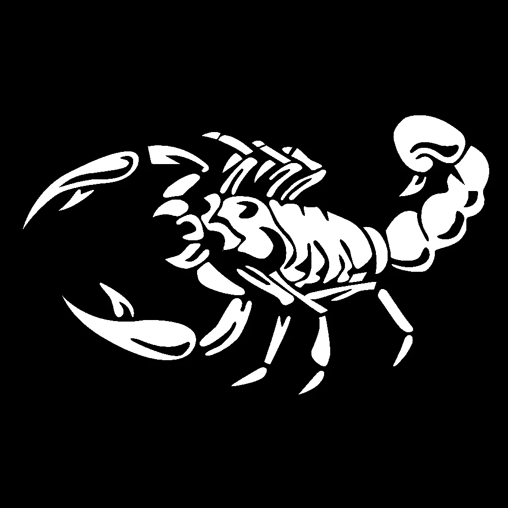2018 Hot Sale Fashion 3D Big Scorpion Reflective Personalized Car Styling Bumper Stickers Vinyl Decal Sticker Scratch Body Cover - Image 5