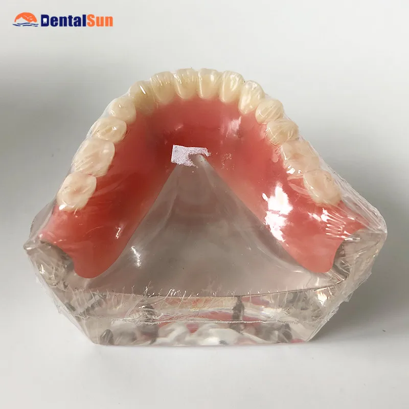 Стоматологическая нижней челюсти протеза имплантатов зубов Модель M6003