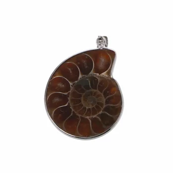 

Natural Stone Ammonite Fossils Seashell Snail Pendants Loose Beads DIY