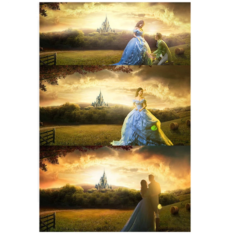 Vinyl Backdrops For Photography Cinderella Castle Scenic Forest Oxford Photo Background For studio Wedding Lover