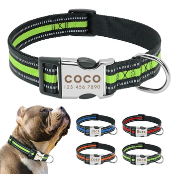 Custom Dog ID Name Collars