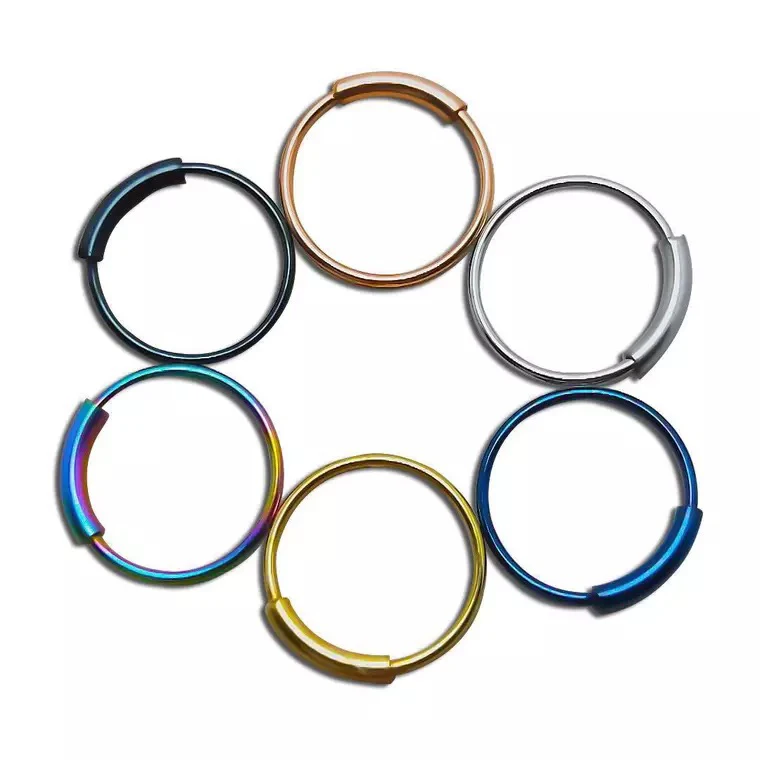 

6 Piece/lot Titanium Hinged Segment Nose Ring 16g Lip Nose Earrings Piercing Body Jewelry Multiple Colour Unisex Fashion Jewelry