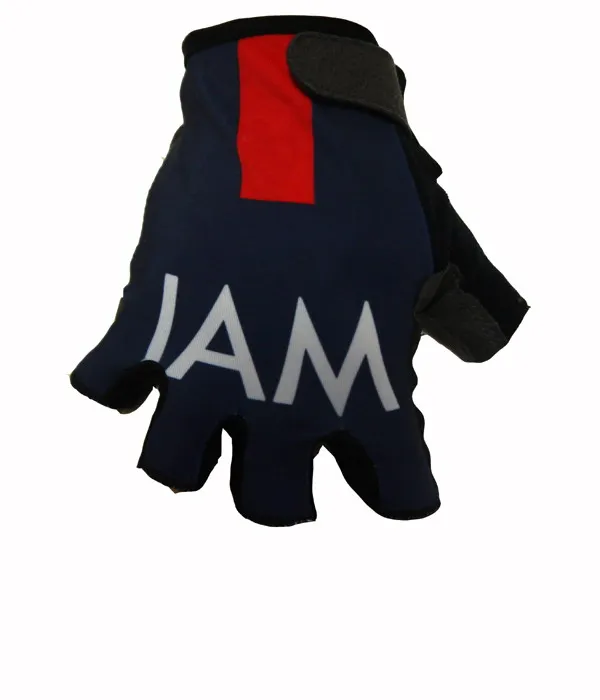 IAM3
