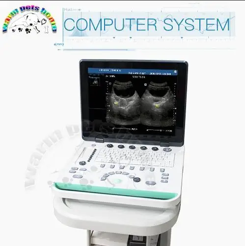 

3D Laptop Ultrasound Machine for Animals Veterinary Ultrasound Scanner Portable Dog Cat Ultrasound Equipment