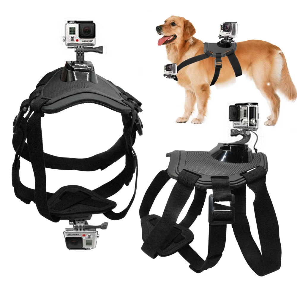 Gopro Dog Collar Video Gopro Dog Collar Video