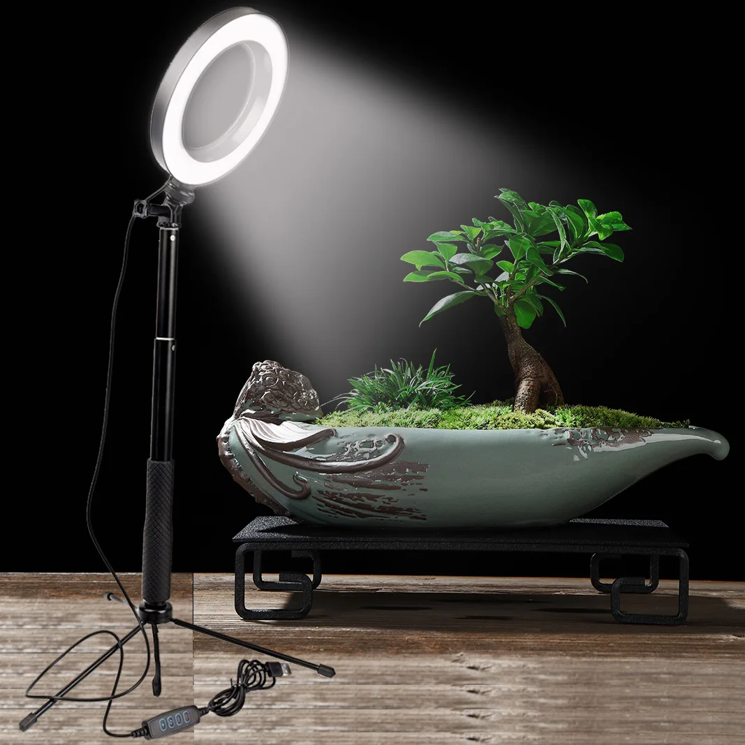 Achat Dimmable LED Selfie anneau lumière téléphone portable vidéo lumière photographie éclairage avec trépied pour Youtobe maquillage vidéo Live Studio lumière