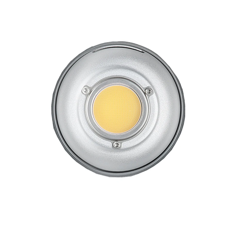 

Aputure COB protection part for LS C300d II