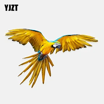 

YJZT 14.9*9.5CM Mysterious Parrot Personalized PVC Colored Decor Car Sticker High Quality 11A0125