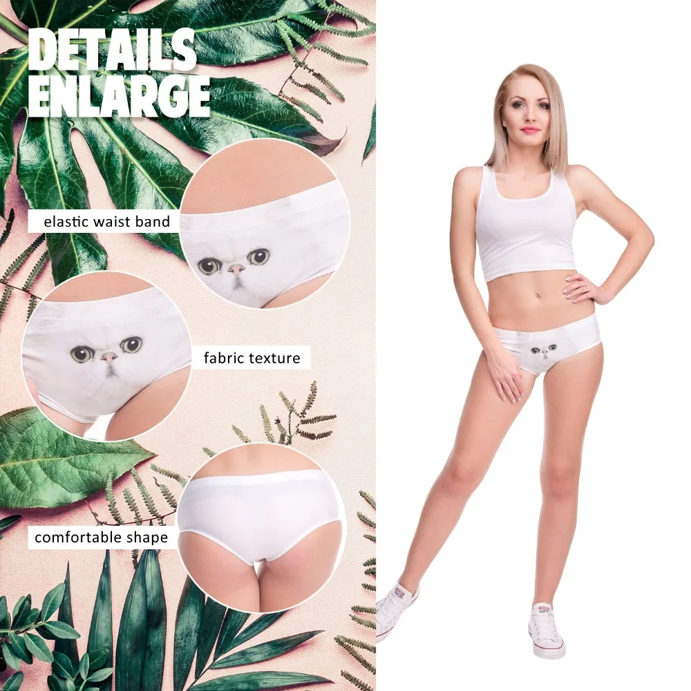 37059 PERSIAN CAT (2)