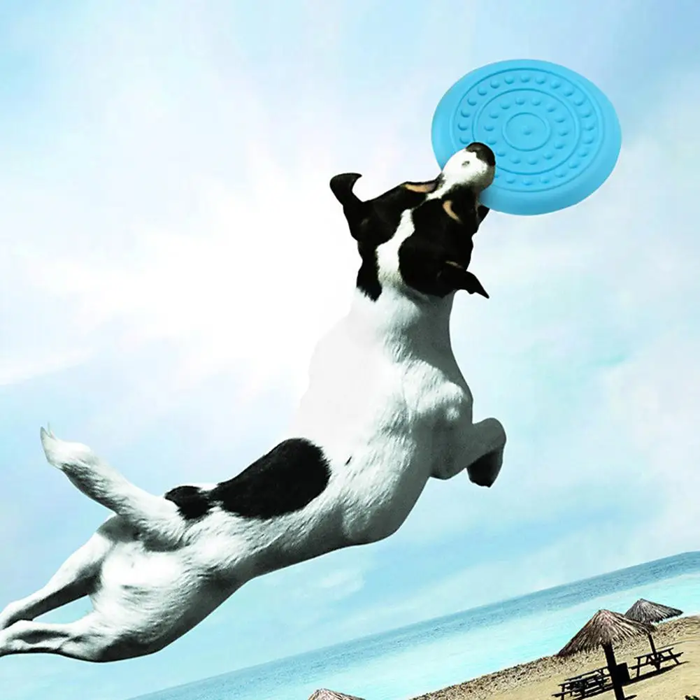 دائم في الهواء الطلق الحيوانات الأليفة الكلب رمي تحلق التدريب البلاستيك القرص اللعب إحضار لعبة السلطانية لتغذية