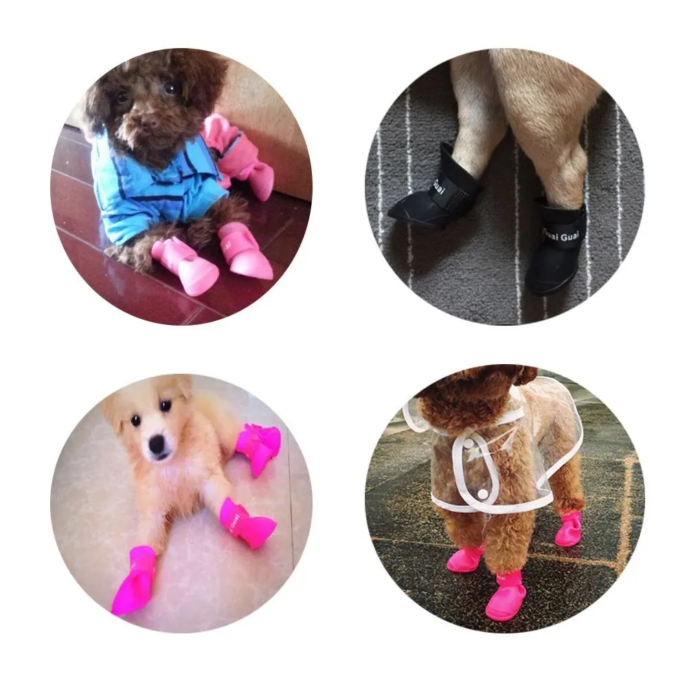 71i4jPvG8HL._SL1000_