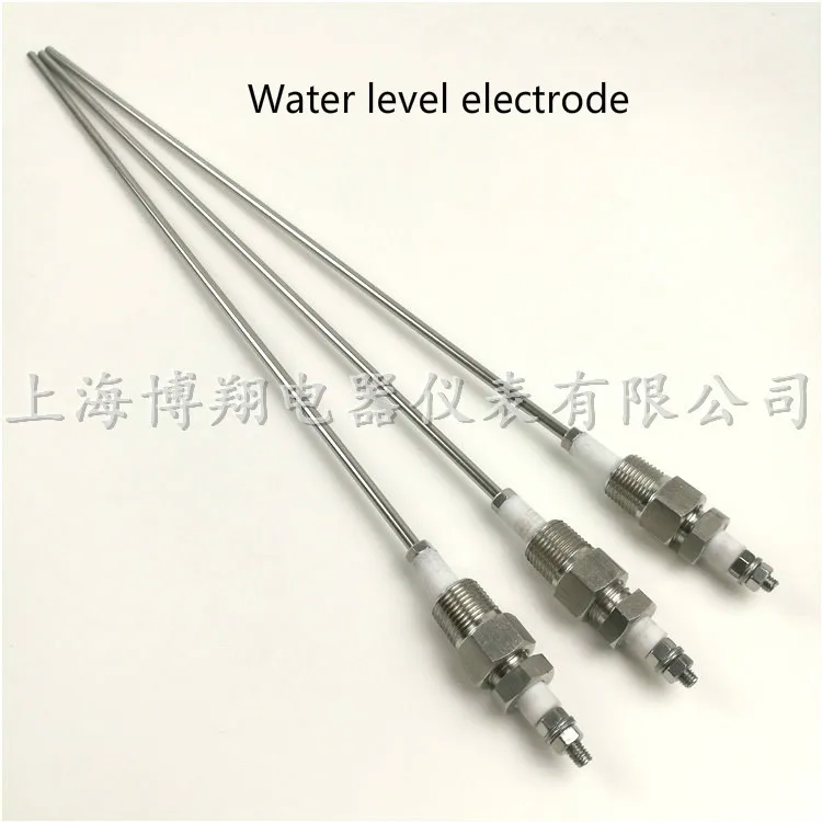 2pcsboilerwaterlevelelectrodewaterlevelprobe304stainless