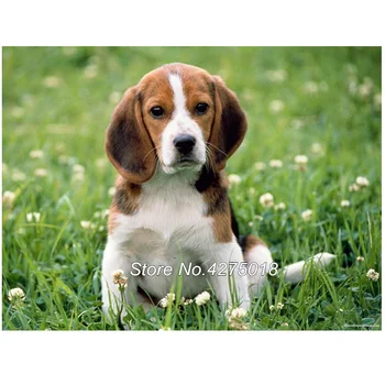 

DIY Diamond Painting Cross Stitch Kits Beagle dog Pet 5D Full Square Diamond Embroidery Drill Mosaic sticker Home Decor YG360