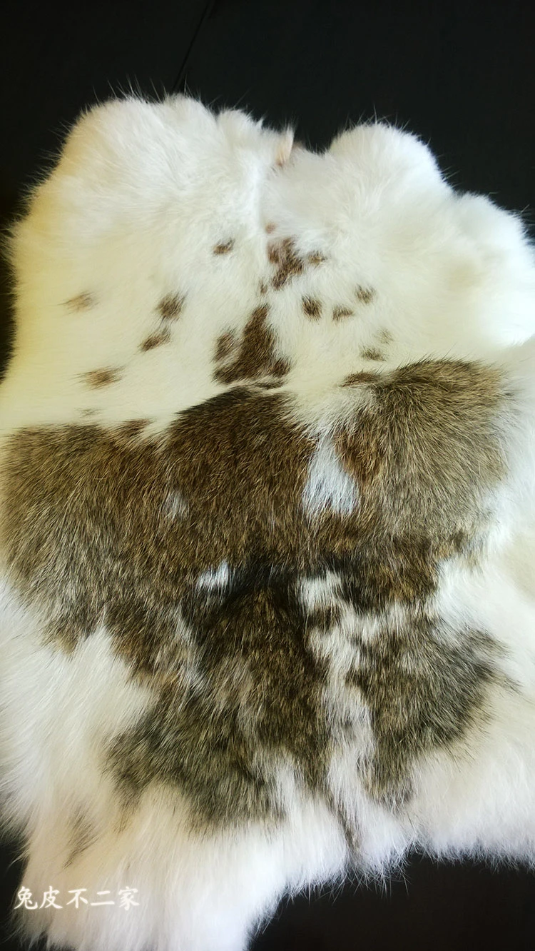 New arrival Rabbit pelt 3pcs/lot rex rabbit skin raw material rabbit
