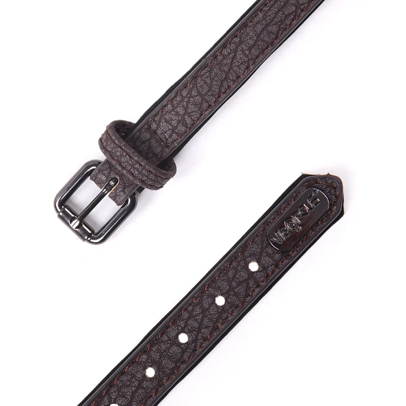dog collar (3)