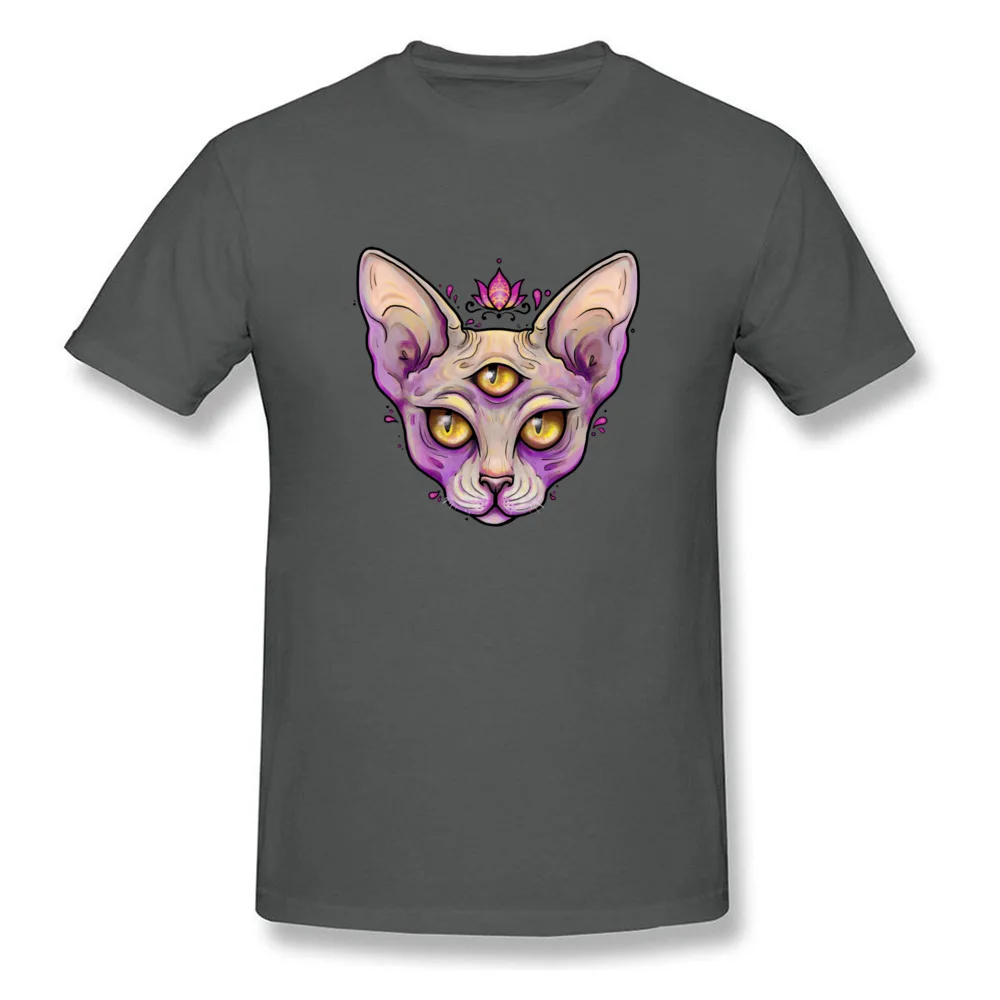 third_eye_sphynx_by_little_space_ace-dbaybxv_carbon