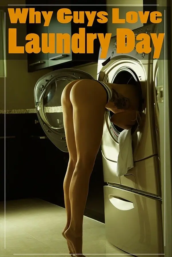 

WHY GUYS LOVE LAUNDRY DAY - SEXY BUTT MOVIE SILK POSTER Decorative Wall paint 24x36inch