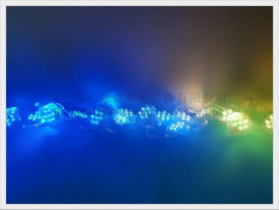 led pixel light source module 5cm transparent cover 7 led (12)