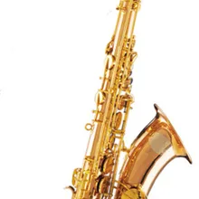 Bb Tone тенор саксофон с Foambody чехол духовые Музыкальные инструменты профессиональный латунный тенор sax