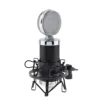 Microphone à condensateur professionnel spécial BM 5000 avec contrôle de Circuit et grande tête à diaphragme plaquée or pour Studio / KTV ► Photo 3/6