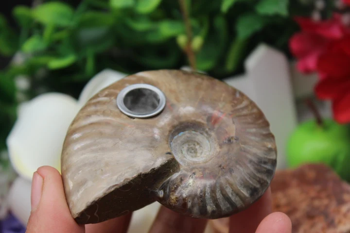 

112grams of natural quartz crystal cured conch smoking pipe A6