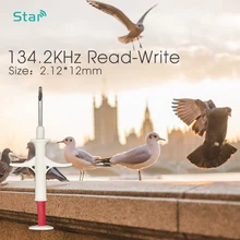 60 шт./лот) Rfid стеклянный колпачок животных Id инъекционные шприц с микрочипом, ISO11784/5 FDX-B мм 2,12*12 мм тег для отслеживания домашних животных/идентификации