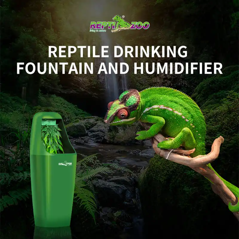 Reptile Drinking Water Filter Fountain Feeding Chameleon Lizard