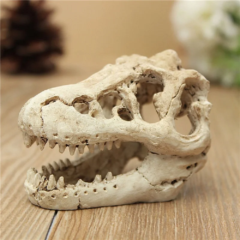 

Resin Dinosaur Skull Pet Fish Tank Landscape Simulation Head Bone Aquarium Terrarium Reptile Hide Cave Decoration Ornament