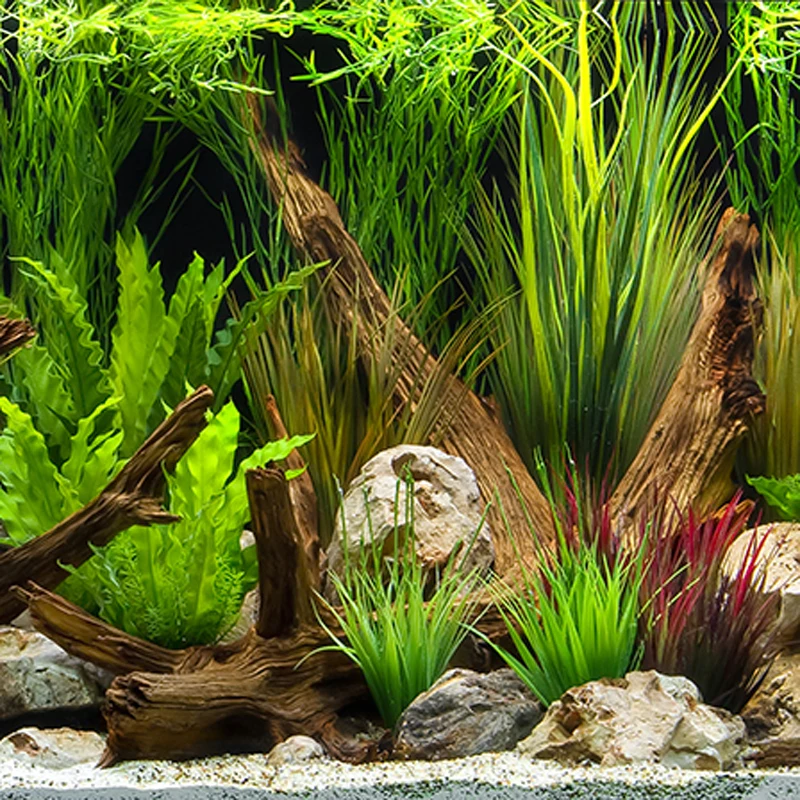 aquarium background paper