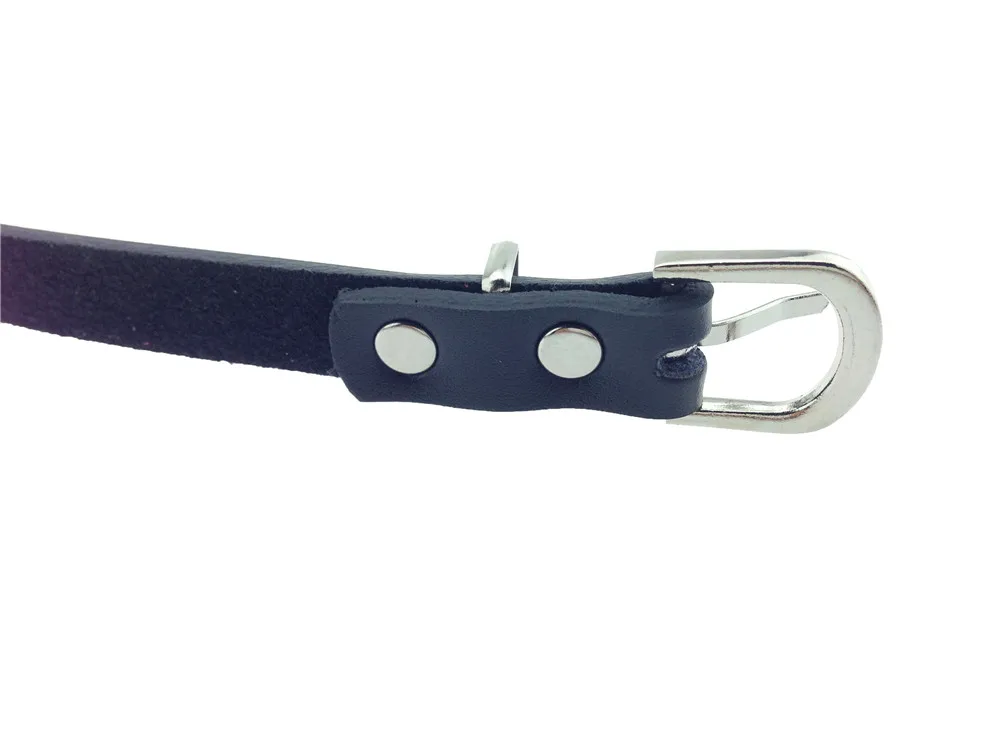 dog_harness_88010