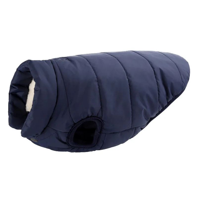 warm apparel for dog