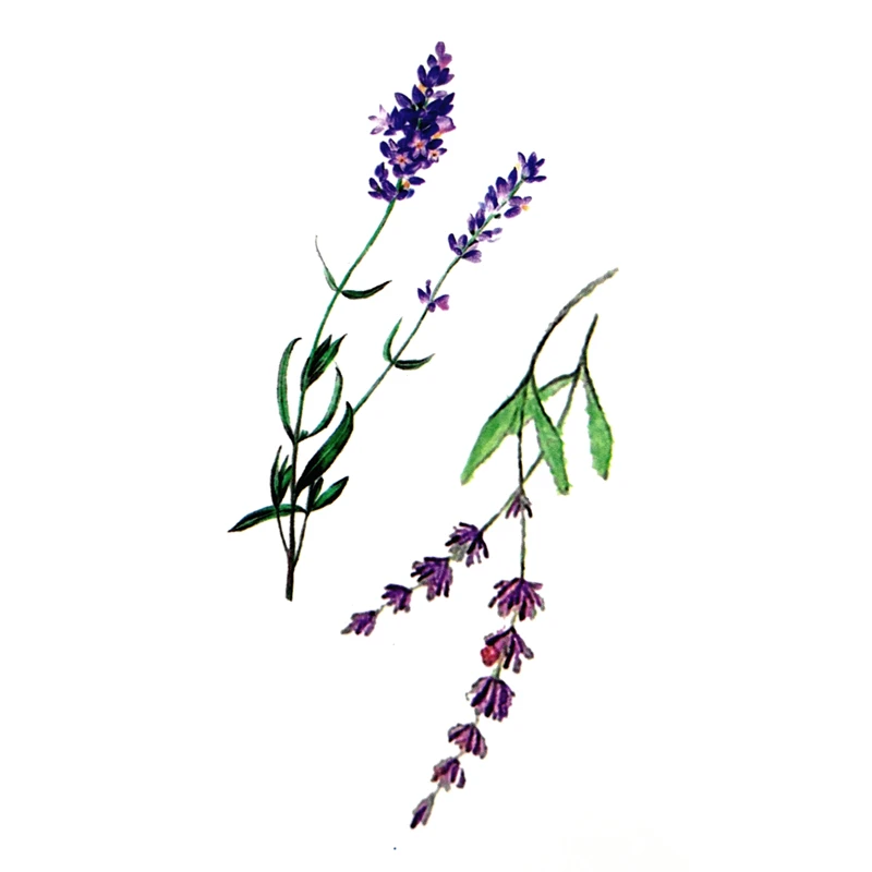 Тату лаванда эскиз цветной