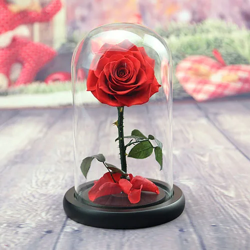 Мелдель 15*22 см, консервированные цветы, подарок, высокое качество, вечная роза в стеклянном куполе, подарок на свадьбу, день рождения, вечерние украшения для дома, Флорес - Цвет: red